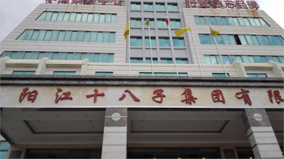 陽江十八字公司 陽江十八字公司