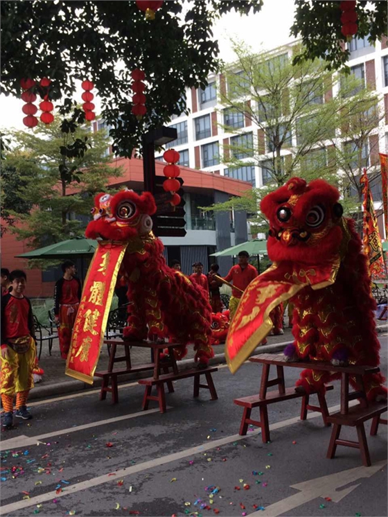 290929040192270046.jpg 290929040192270046.jpg