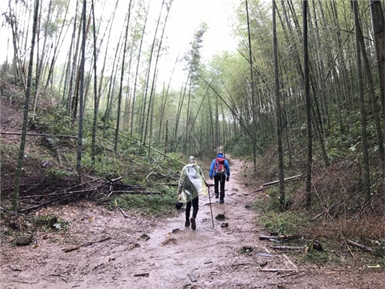 微信圖片_20181214152937.jpg 微信圖片_20181214152937.jpg