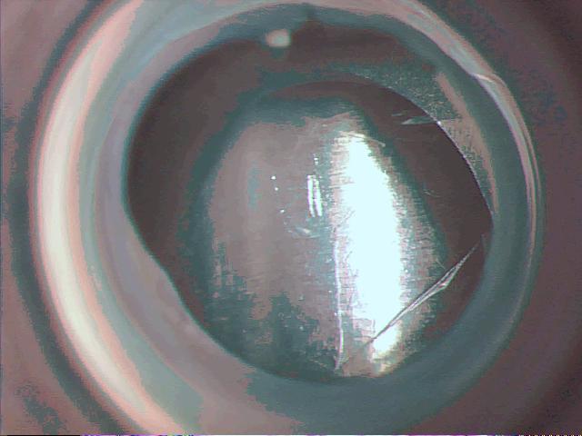 Snapshot_20150410103728.jpg Snapshot_20150410103728.jpg