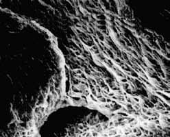 圖片2.jpg 圖片2.jpg