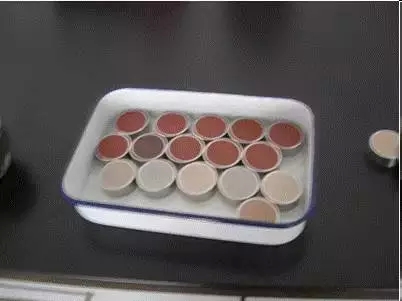 4.webp.jpg 4.webp.jpg