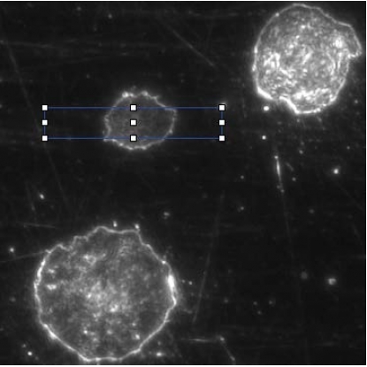 Leica DM6 M 的所有系統組件 Leica DM6 M 的所有系統組件