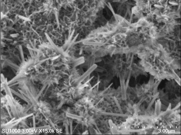 e0d507426bd14cb19d5734c58b885358.jpg e0d507426bd14cb19d5734c58b885358.jpg