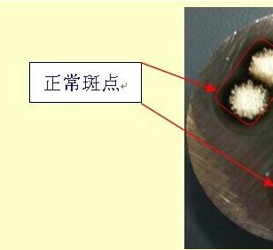 光譜標樣 光譜標樣