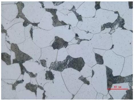 工業顯微鏡 工業顯微鏡