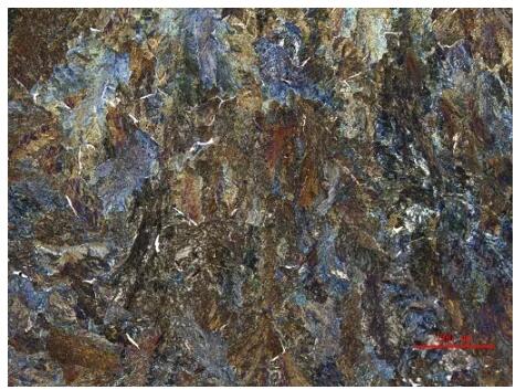 工業顯微鏡 工業顯微鏡