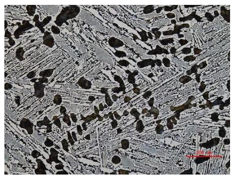 工業顯微鏡 工業顯微鏡