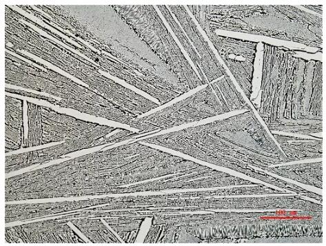 金相顯微鏡 金相顯微鏡