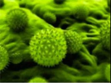 金相顯微鏡測顆粒 金相顯微鏡測顆粒