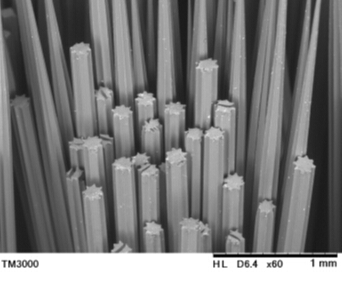 掃描電鏡成像 掃描電鏡成像