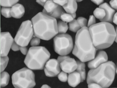 掃描電鏡成像 掃描電鏡成像