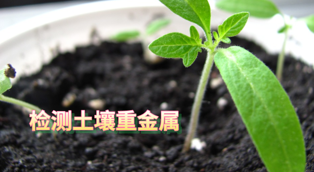 檢測土壤重金屬.png 檢測土壤重金屬.png