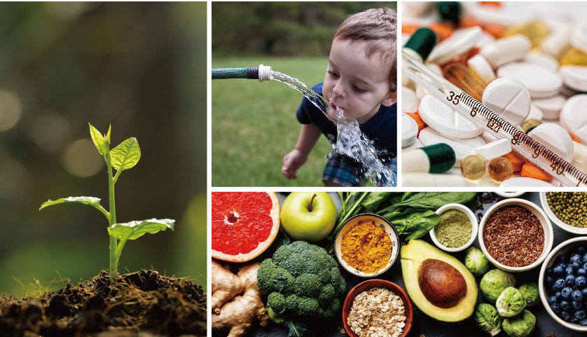 應(yīng)用領(lǐng)域 應(yīng)用領(lǐng)域