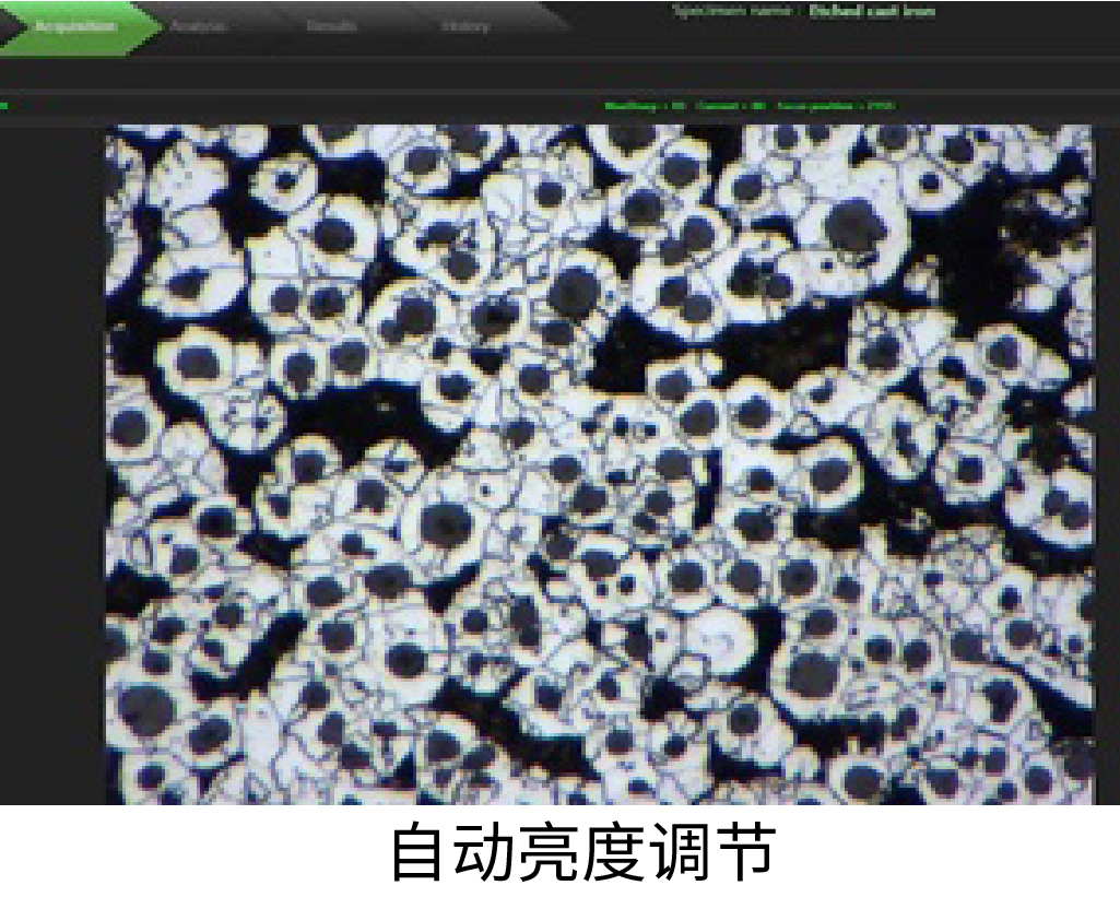 自動亮度調節 自動亮度調節