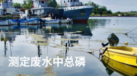 電感耦合等離子體ICP-OES測定廢水中總磷 電感耦合等離子體ICP-OES測定廢水中總磷